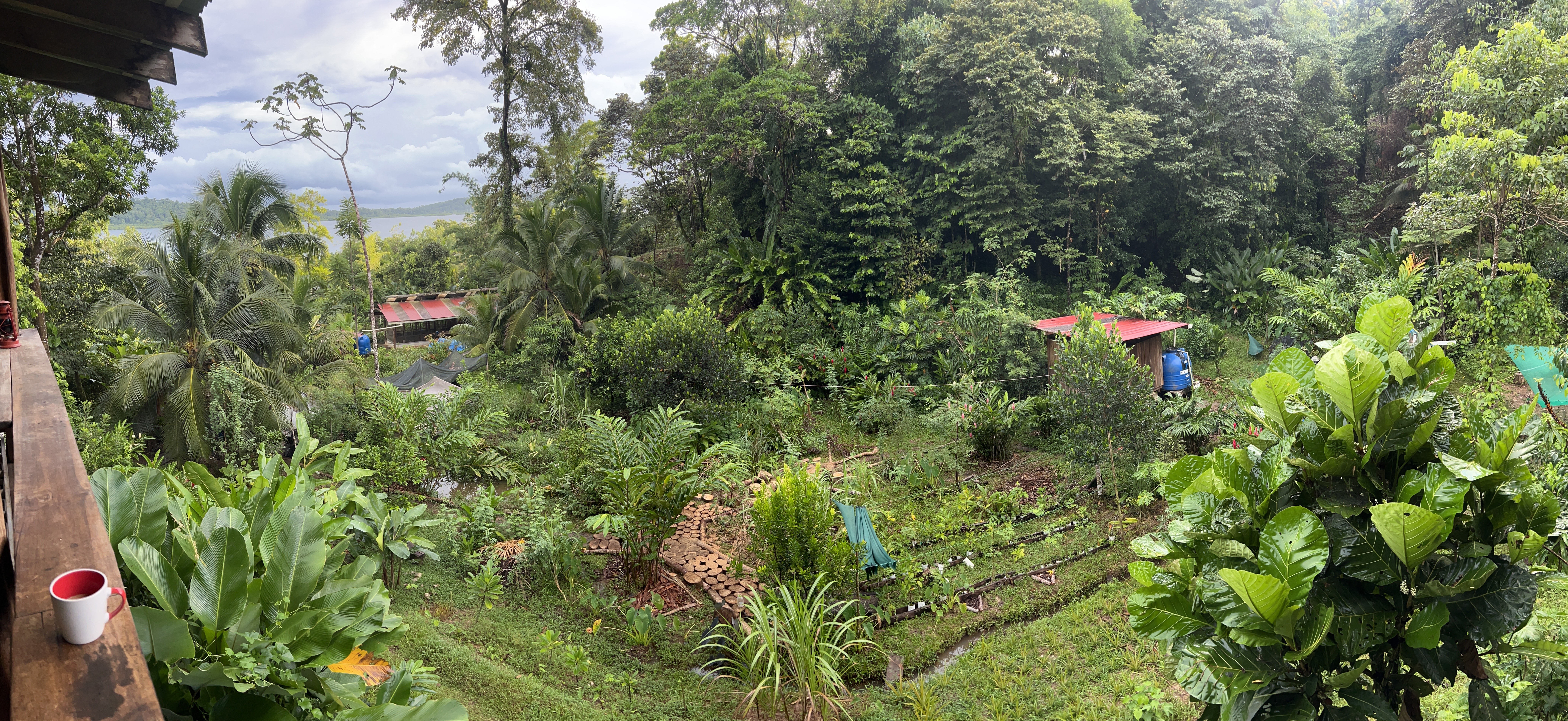 Farm panorama tour
