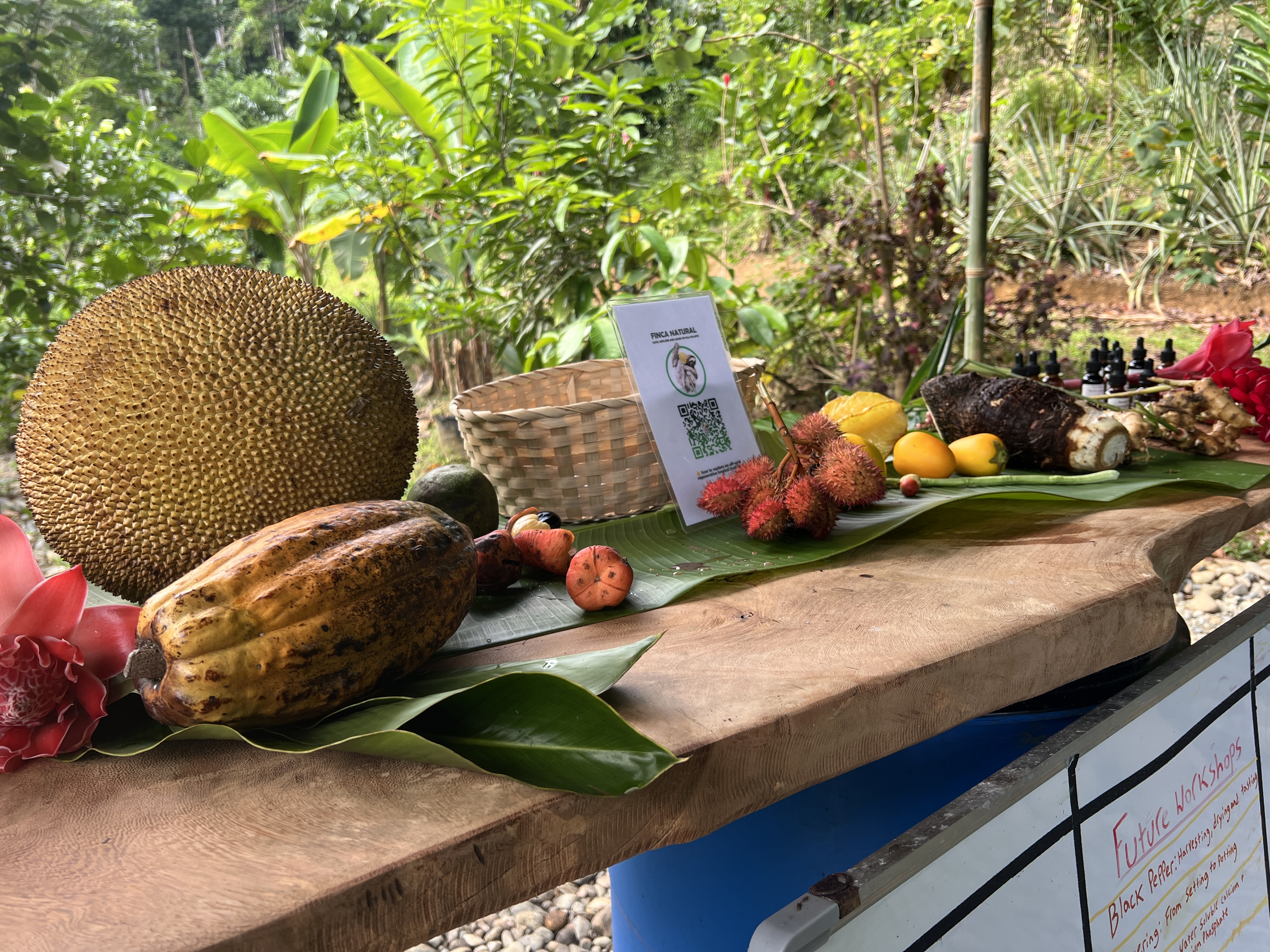 Tropical fruits at Finca Natural